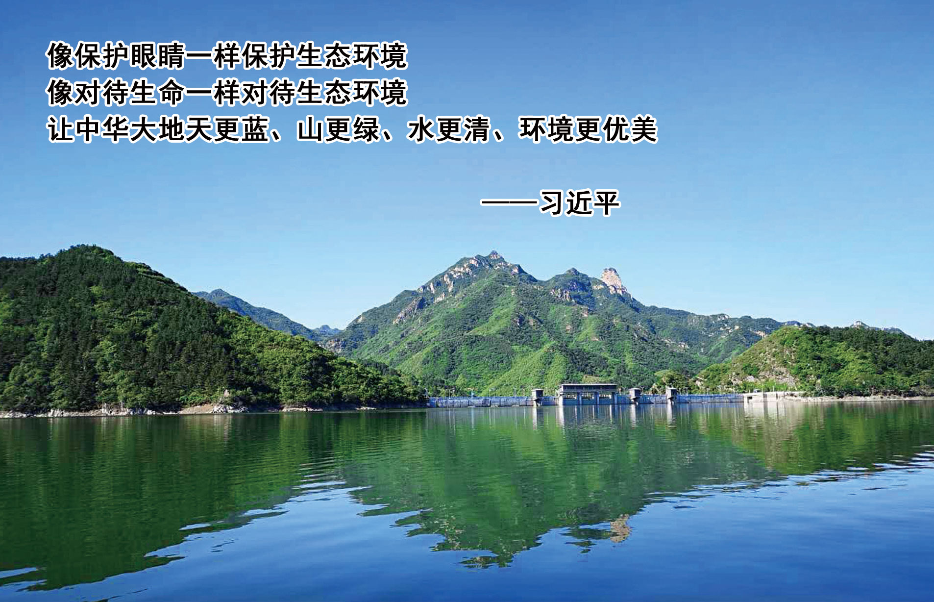 山东威洁新材料科技有限公司